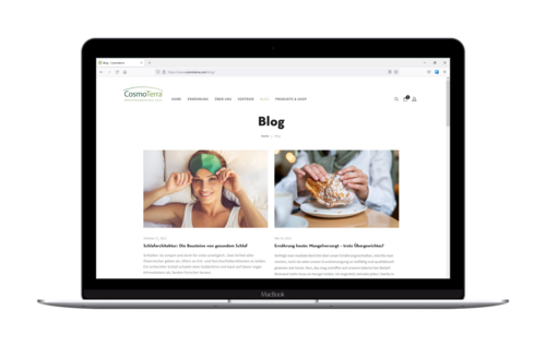 Screenshot der Cosmoterra Website