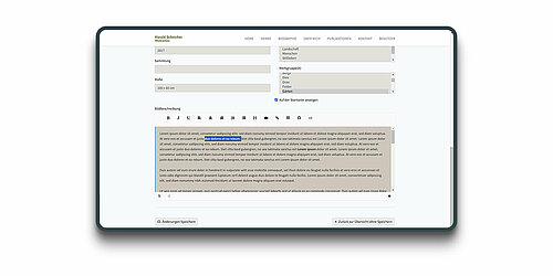 Bildachivierungsystem / Werksverzeichnis / Werkschau / Harald Scheicher Frontendditiermodus
