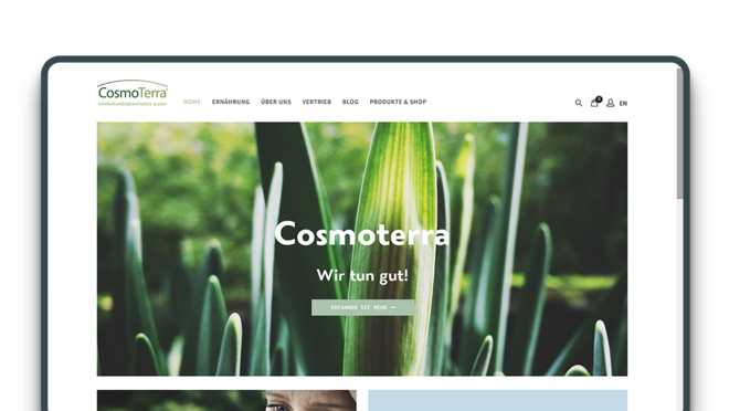 Screenshot der Cosmoterra Website Screenshot der Cosmoterra Website