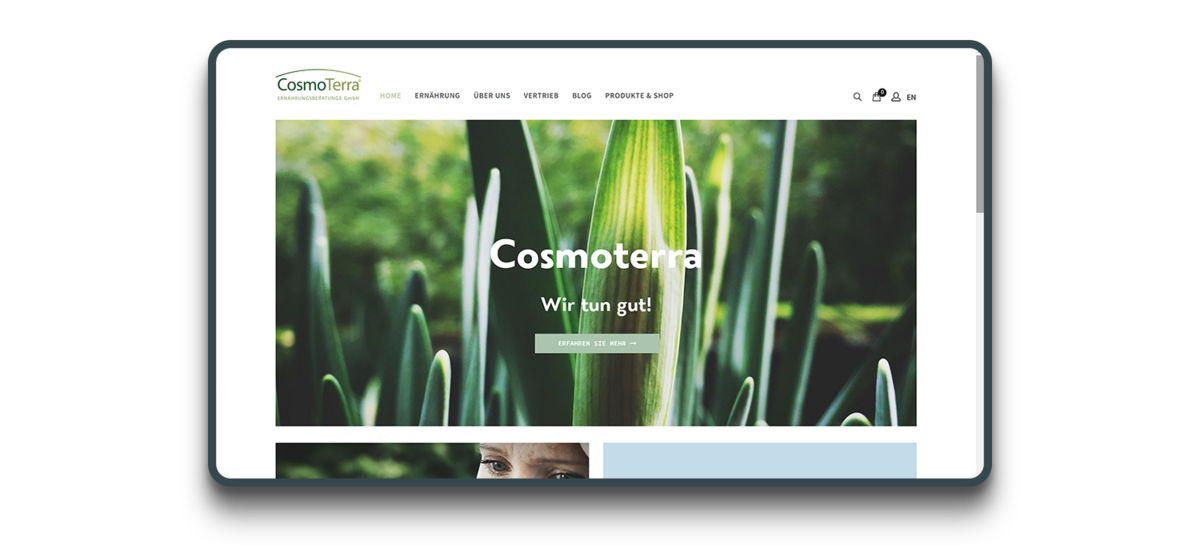 Screenshot der Cosmoterra Website