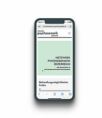 Screenshot des Webportals netzwerk-psychosomatik.at